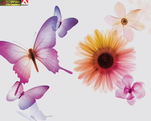 380676 (a): :1280x1024